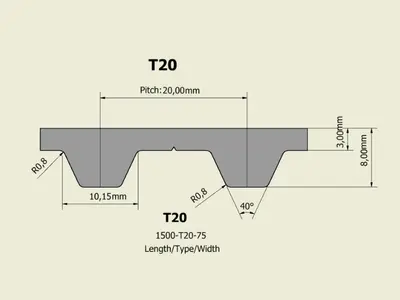 T20