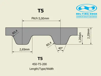 T5